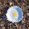 Assiette marguerite