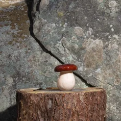 Boîte champignon en faïence