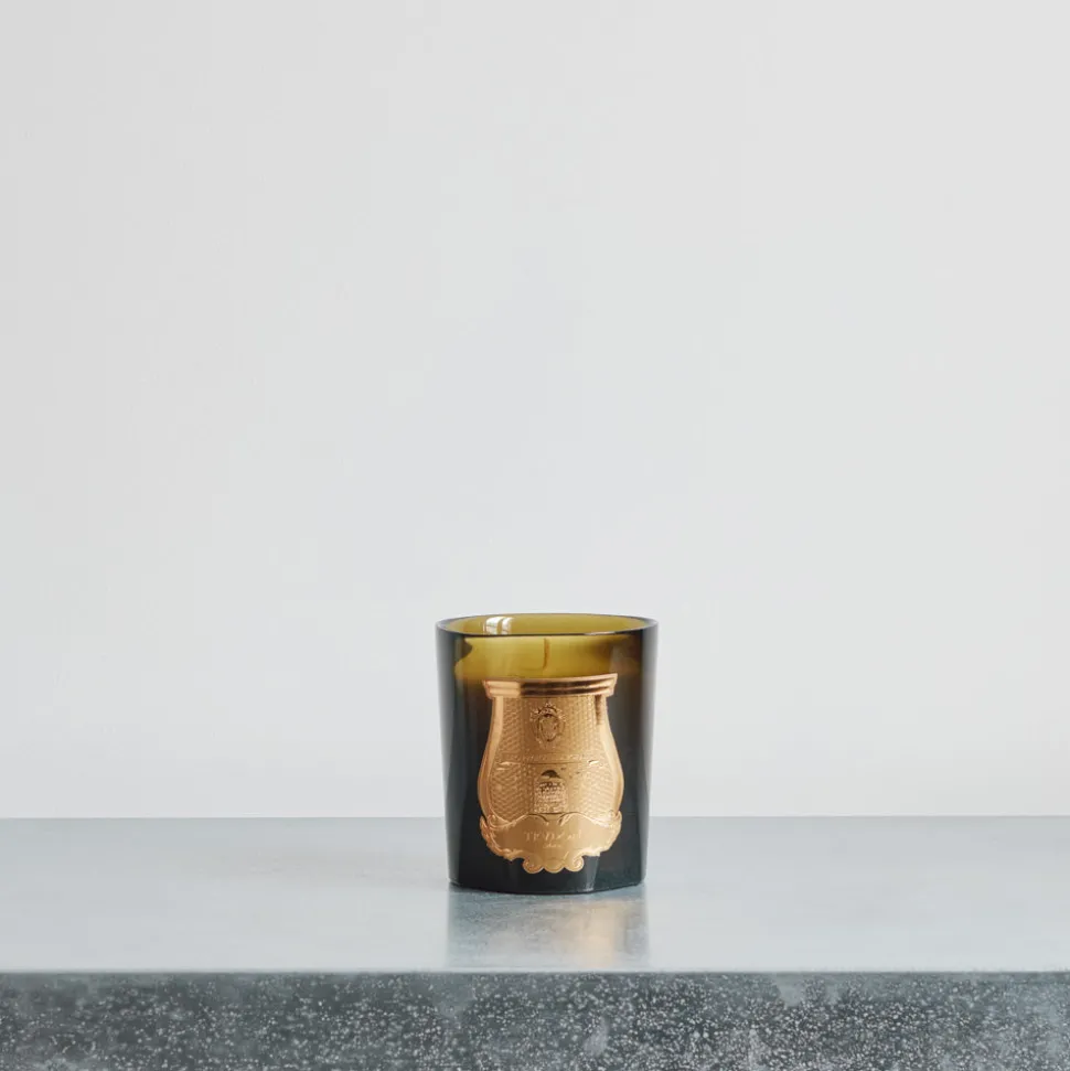 Bougie parfumée Trudon 270 g - Spiritus Sancti