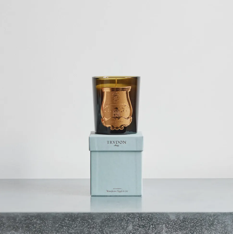 Bougie parfumée Trudon 270 g - Spiritus Sancti