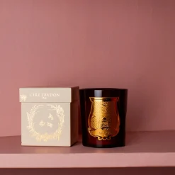 Bougie parfumée Trudon 270 g - Cire