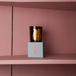 Bougie parfumée Trudon 270g - Dada