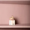 Brosse stimulante cuir chevelu - Cut By Fred