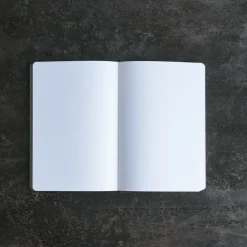 Carnet - Surface Transcendence