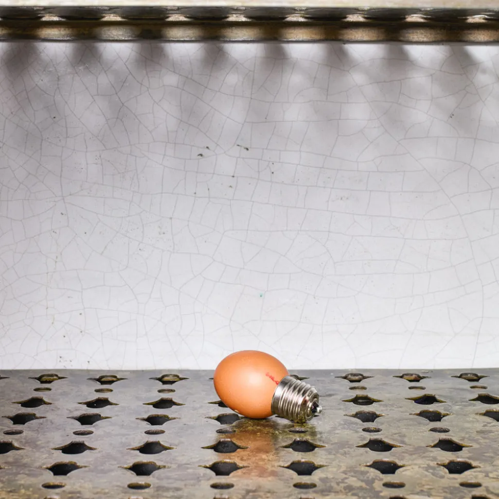 Egglamp - Ruben De Haas