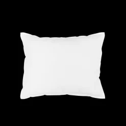 Intérieur de coussin en plume d'oie - Blanc