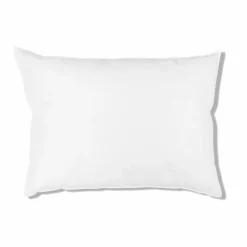 Intérieur de coussin en plume d'oie - Blanc