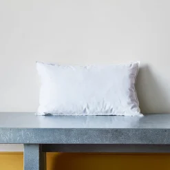 Intérieur de coussin en plume d'oie - Blanc