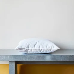 Intérieur de coussin en plume d'oie - Blanc