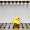 Lampe - Canard Boogie