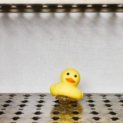 Lampe - Canard Boogie