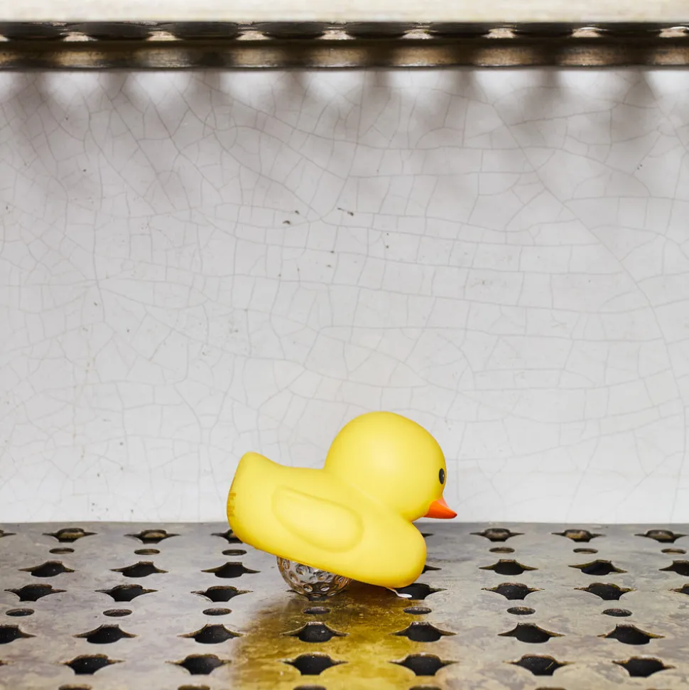 Lampe - Canard Boogie