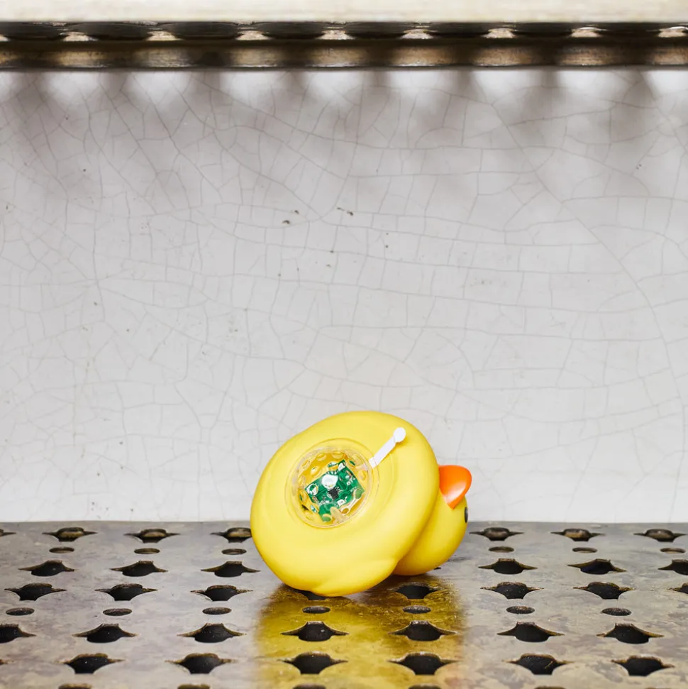Lampe - Canard Boogie