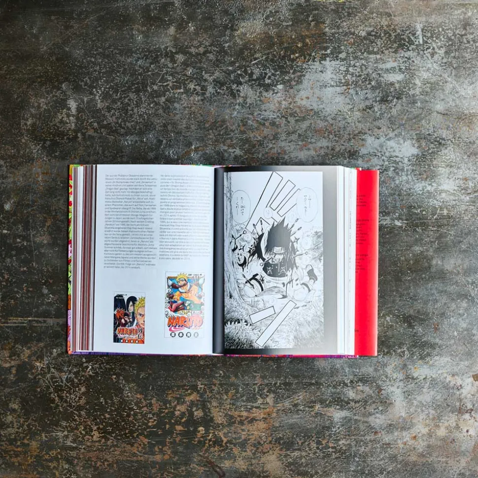 Livre - 100 Mangas Artists