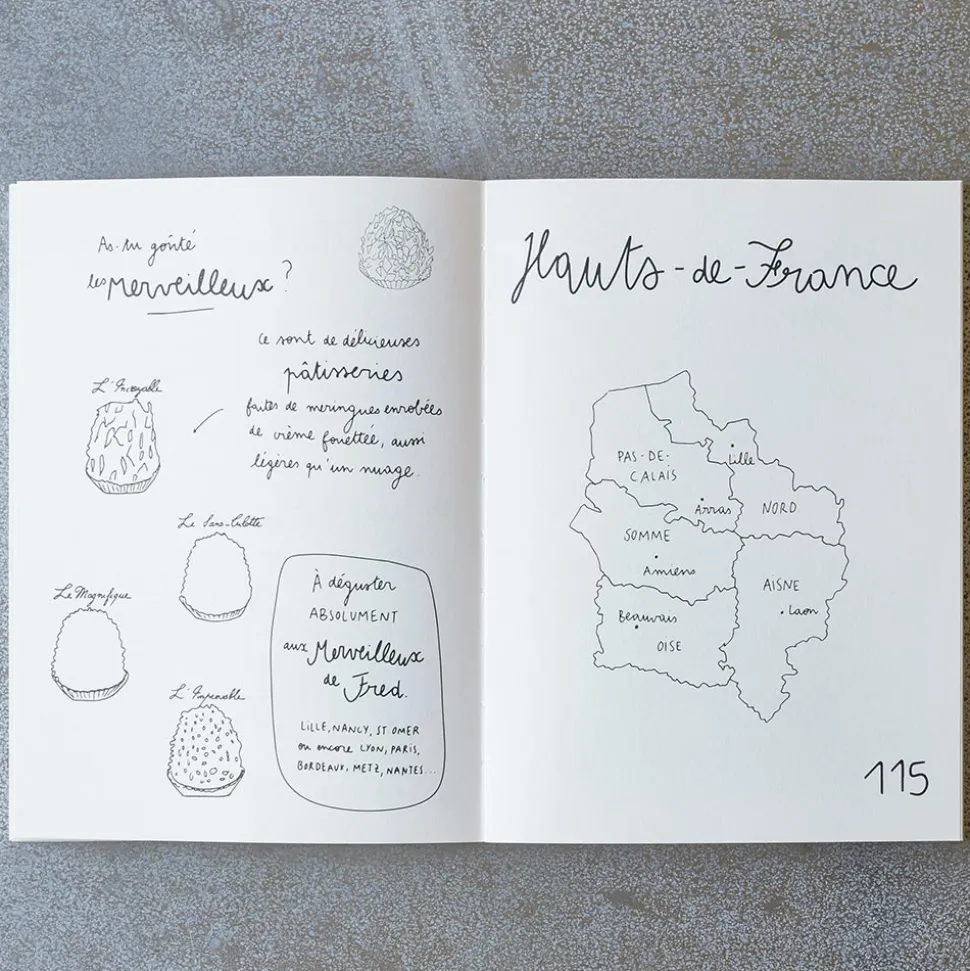 Livre - Carnet du Voyageur France