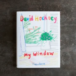 Livre - David Hockney my Window