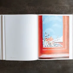 Livre - David Hockney my Window
