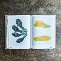 Livre - Nike: Form Follows Motion