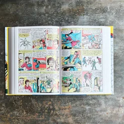 Livre - Spider-Man. Vol. 1. 1962–1964