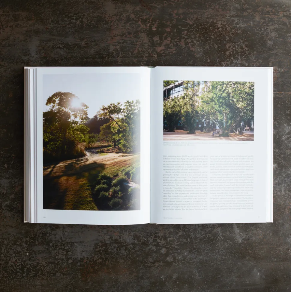 Livre - The Avant Garden