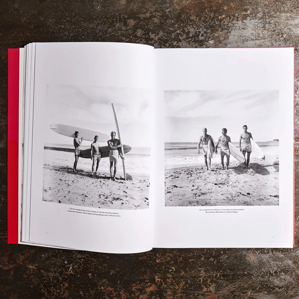 Livre - The Endless Summer