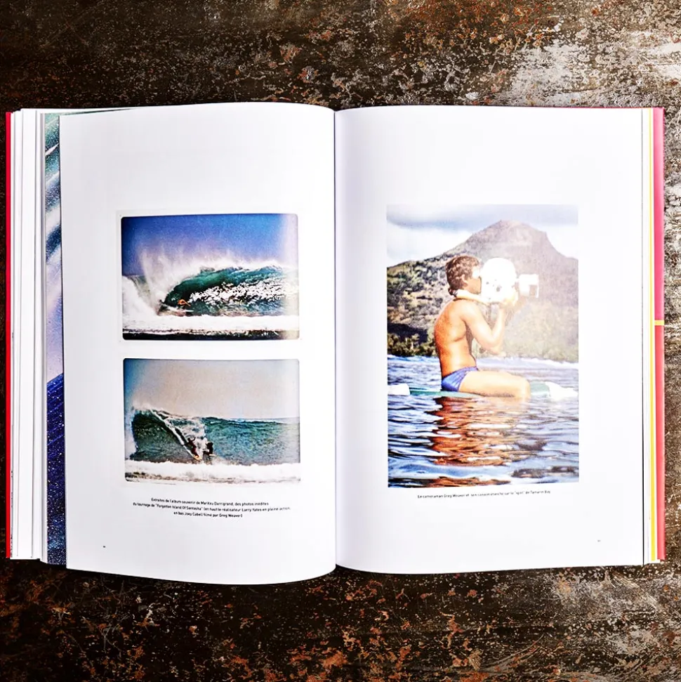 Livre - The Endless Summer