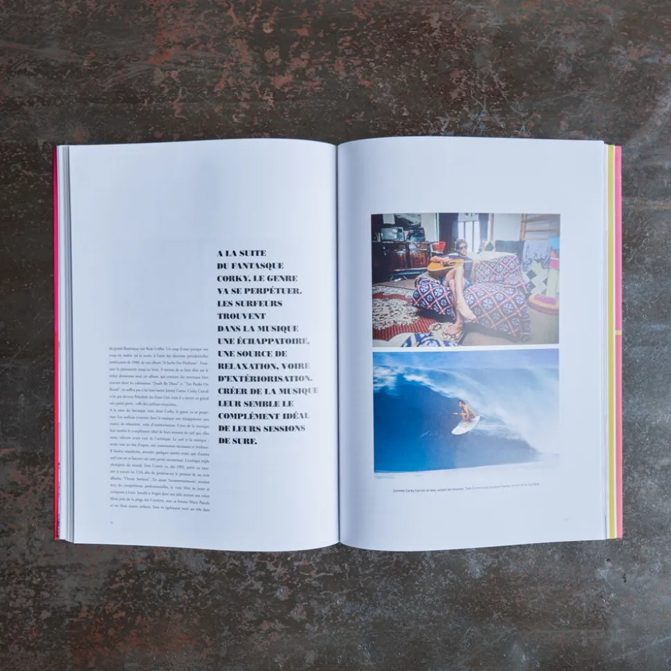 Livre - The Endless Summer