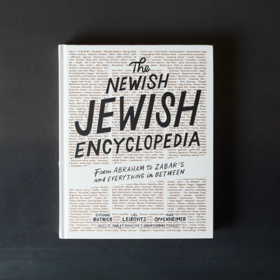Livre - The Newish Jewish Encyclopedia