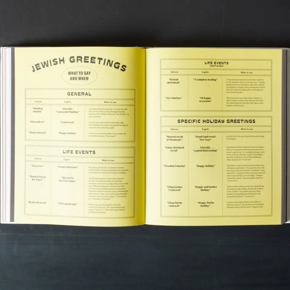 Livre - The Newish Jewish Encyclopedia