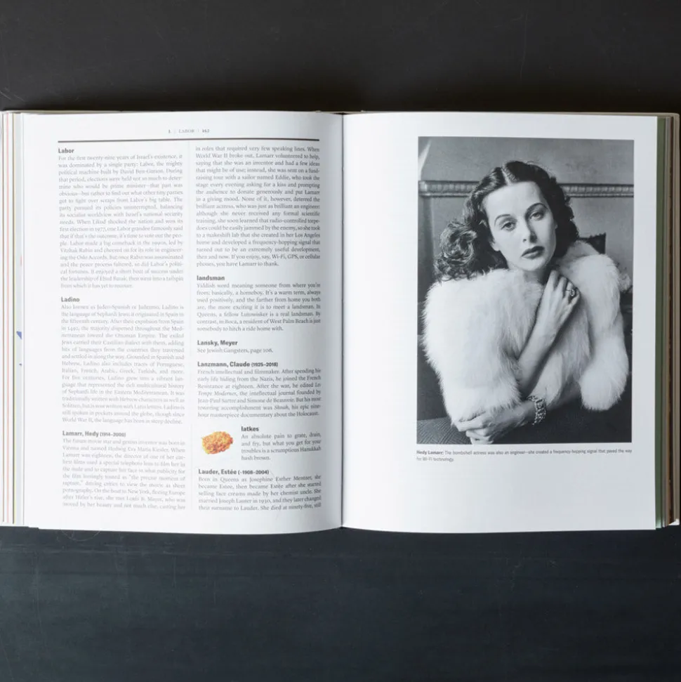 Livre - The Newish Jewish Encyclopedia