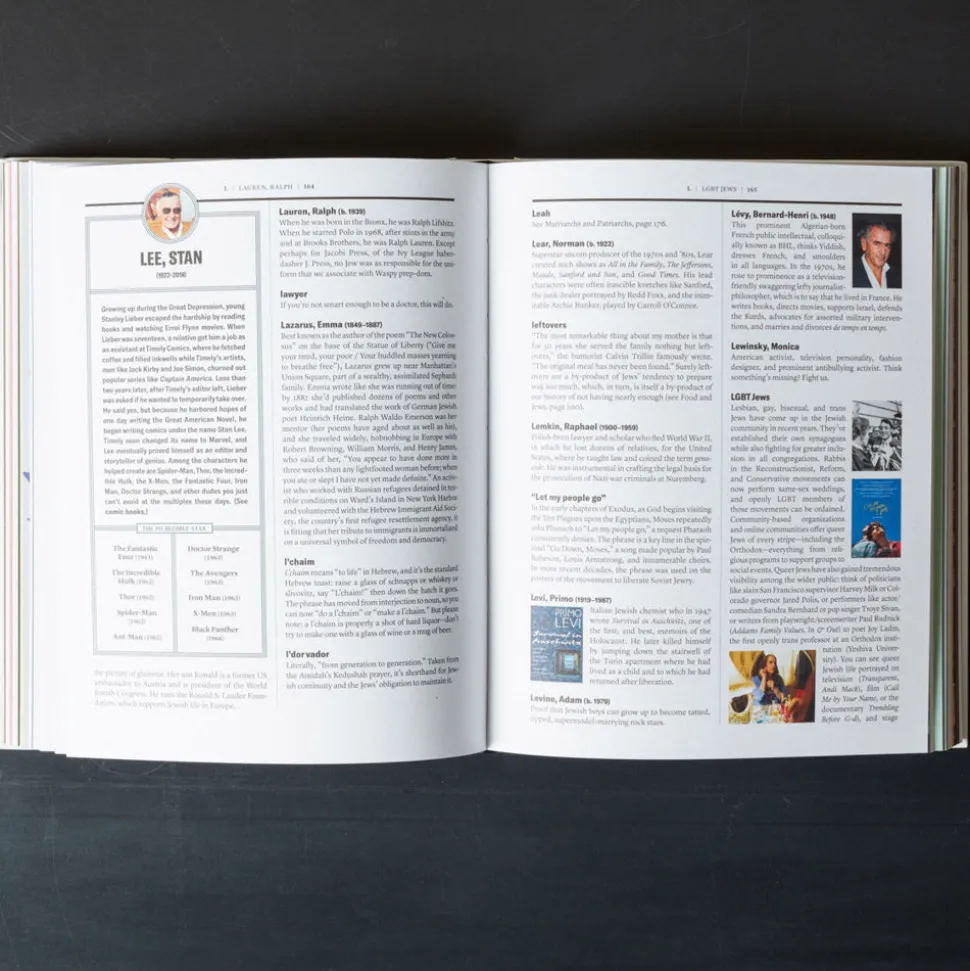 Livre - The Newish Jewish Encyclopedia