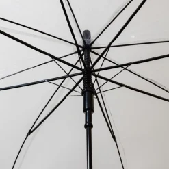Parapluie transparent