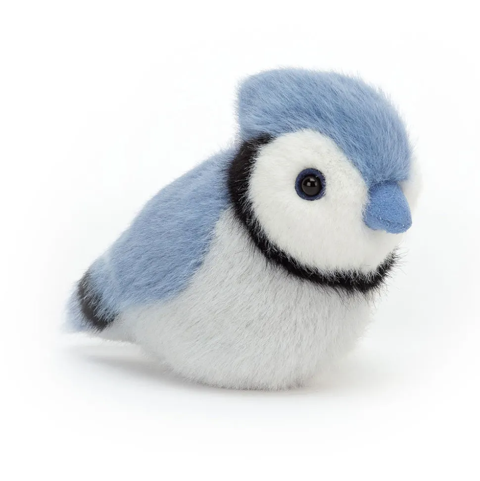 Peluche - Geai Bleu