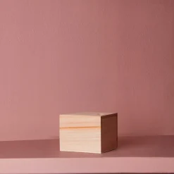 Porte-savon magnétique