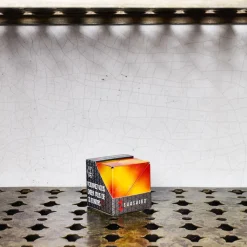 Shashibo Holographique - Solar